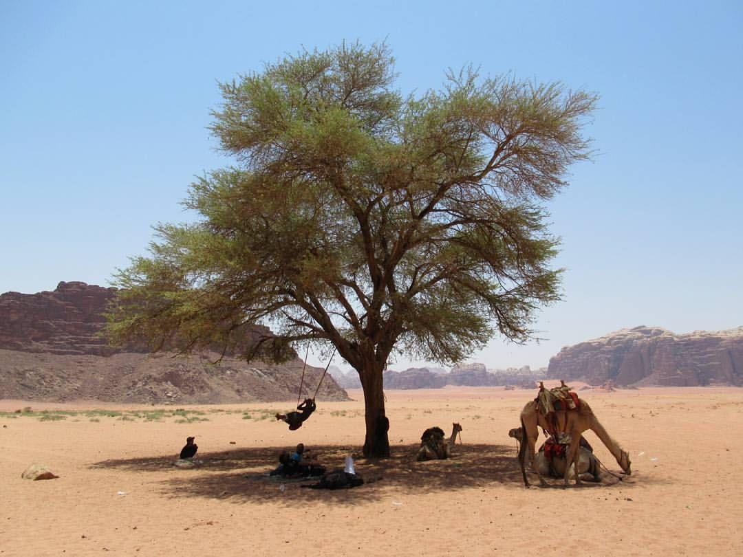 Climbers House In Wadi Rum Luaran gambar